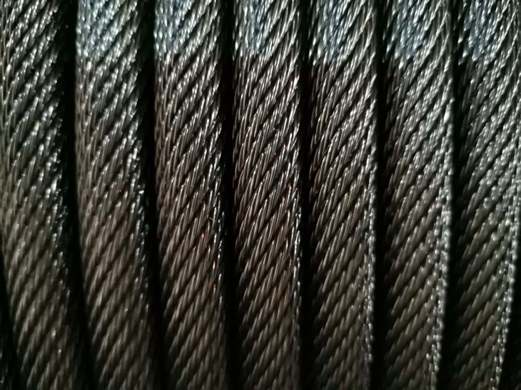 3624496066.jpg
